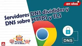 Servidores DNS divididos y DNS sobre HTTPS y TLS