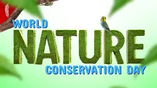 The Role of VFX in Nature Conservation | Redchillies.vfx