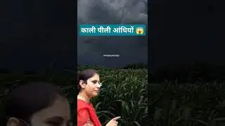 #rajveersirspringboard #motivation #civilservices #lakshitamam #springboard #shorts #viralvideo