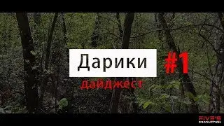 Дарики дайджест #1