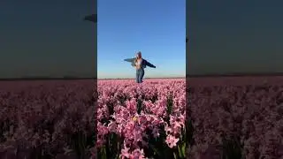 Spring Blossom in Europe - Netherlands