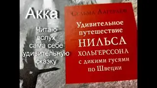 Акка / Сказкотерапия 4 / Читаю вслух знаменитую сказку