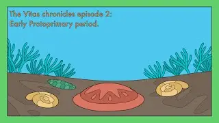 Alien biology | The Vitas chronicles episode two, Early Protoprimary period