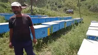 СОҒЛИҚ УЧУН ХАВФЛИ УСИМЛИКЛАР !