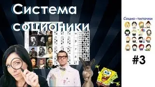 Система соционики. Социо-типочки #3 [Соционика]
