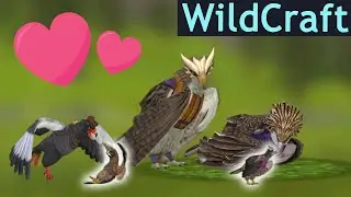 ПОЯВИЛОСЬ сразу 2 ОРЛЕНКА  в WildCraft!