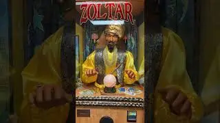 Zoltar предсказывает судьбу 😝🔮🔮