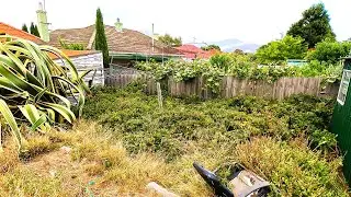 Titanic Yard Overhaul: Colossal Agave OBLITERATED in Garden Rescue!!!