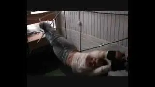 Тренажер ПравИло. Элемент: "дзиґа".