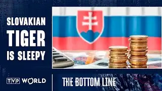 Slovakian economy in 2024 | The Bottom Line
