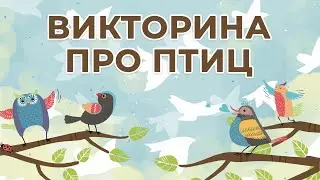 Викторина про птиц для детей