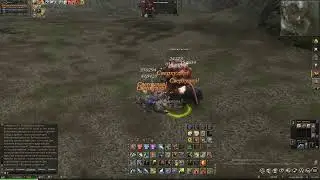 Lineage 2. Лук 114 лвл Стена Аргоса в 1 дд. Офф. сервер.