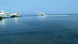 Bursa Mudanya Budo ✔️