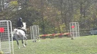 Show Jumping