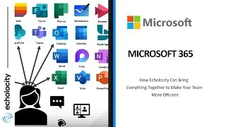 Microsoft Apps | Get more value from your Microsoft Apps | Streamline Process Flows | Echolocity