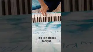 the lion sleeps tonight