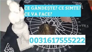 CE GÂNDEȘTE, CE SIMTE ȘI CE VA FACE? TAROT INTERACTIV 0031617555222