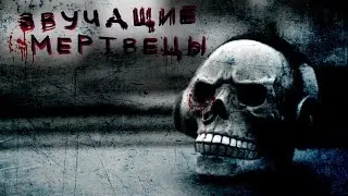 Звучащие Мертвецы. Бабкины Яйца 84