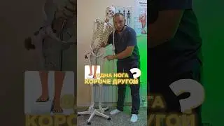 Знали об этом? 