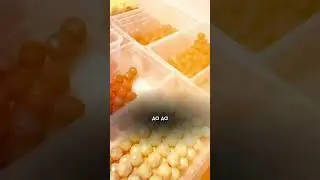 Ограбление ли это?🤪😂