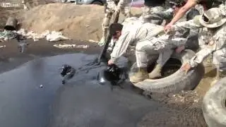 Щенков спасли от верной смерти