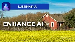 The Enhance AI Tool - Luminar AI