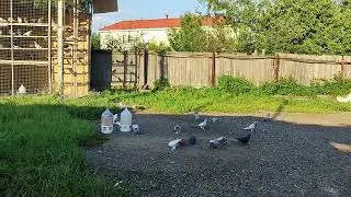 25.08.2024г Приехал домой после Ярмарок ч. 1