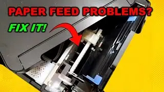 Epson Printer Not Feeding Paper? Easy Fix for Paper Feed & Jam Problems