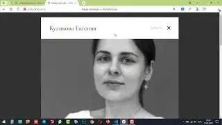 Сотрудники