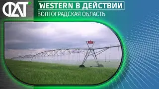 Western в действии.