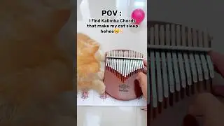 Funny and Cute Cat Listening Kalimba #shorts #feedshorts #funnycats
