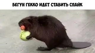 Коротко о Валоранте