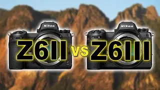 Nikon Z6II vs Nikon Z6III - Image Quality Review