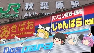 秋葉原散策！神田神社からジャンク通りを歩く！