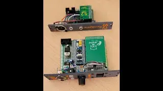 Eurorack Module around a S2 Waveblaster and an EWave waveblaster