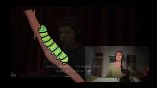 Are we the biological caterpillar who created the electronic butterfly?