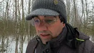 Сугубо дилетантское мнение..