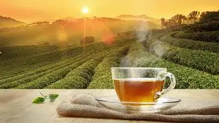 Listen to the best classical classics to hear in the morning Listen to the best classical classics