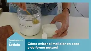 Cómo eliminar el MAL OLOR en tu casa de forma NATURAL con @ORDENOTUCASA
