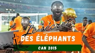 Ce Que Les Eléphants Ont Fait Pour Remporter La CAN 2015