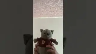СВАААВЕЕ #Басярис