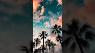 Asthentic Photo Edit🌛✨ | Want Preset?