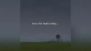 how life feels lately...