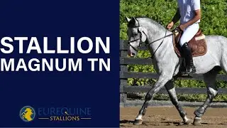 Stallion: Magnum TN Jump Chute