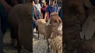 15 августа 2024 г.