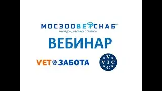 Болезни декоративных ежей