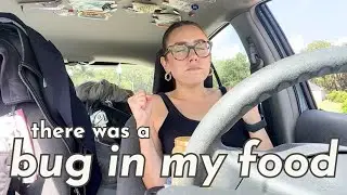 UMMM there was a bug in my food (what i eat in a day) | Katie Carney