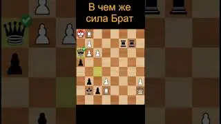 В чем же сила Брат #shorts #chess #шахматы