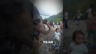 Dimandiin gajah🐘
