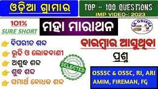 Odia Grammar Marathon | 100 Odia Grammar Questions | Fireman Grammar Questions | Forest Guard |